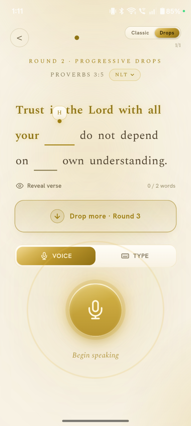 Voice